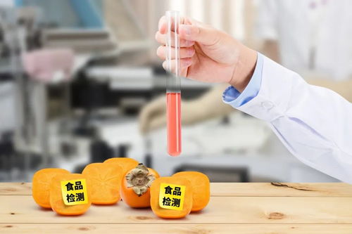 史上最嚴《四川省中小學校食品安全管理辦法》正式實施，守護學生餐飲服務安全